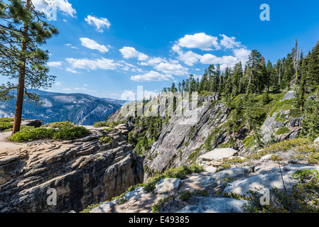 Blick auf Pinien und Granitberge aus Taft Point.  Yosemite Nationalpark, Kalifornien, USA. Stockfoto