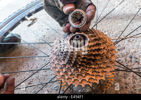 Fahrradmechaniker Befestigung Hinterrad Stockfoto