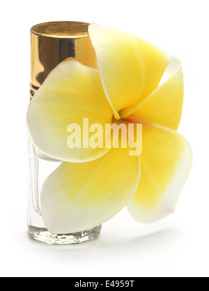 Tropischen Frangipani mit Parfüm-Flasche auf weißem Hintergrund Stockfoto