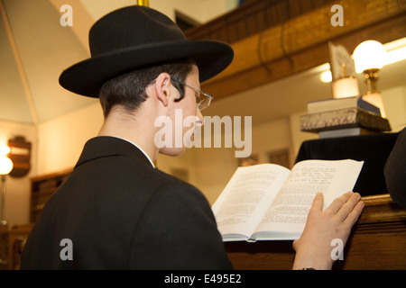 Orthodoxen jüdischer Mann liest die Megillah "Scroll von Esther" während des jüdischen Festivals von Purim. Stockfoto