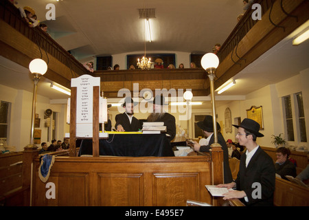 Rabbi liest die Megillah "Scroll von Esther" während des jüdischen Festivals von Purim. Stockfoto