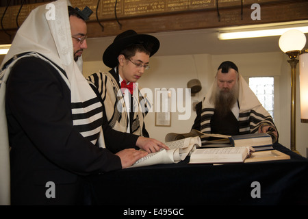 Rabbi liest die Megillah "Scroll von Esther" während des jüdischen Festivals von Purim. Stockfoto