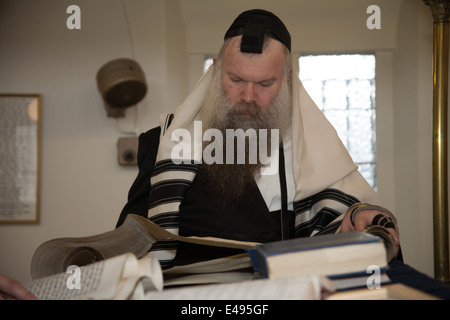 Rabbi liest die Megillah "Scroll von Esther" während des jüdischen Festivals von Purim. Stockfoto