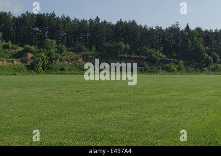 Natürliche grüne getrimmte Wiese für den Fußball Stockfoto