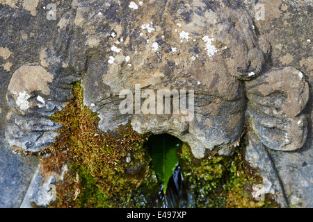 Heiligen gut Southam Warwickshire UK Stockfoto