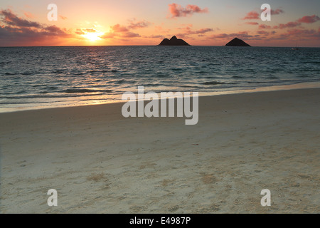 Sunrise entlang der schönen Lanikai weißen Sandstrand auf der Insel von Oahu, Hawaii Stockfoto