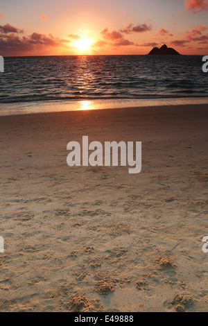 Sunrise entlang der schönen Lanikai weißen Sandstrand auf der Insel von Oahu, Hawaii Stockfoto