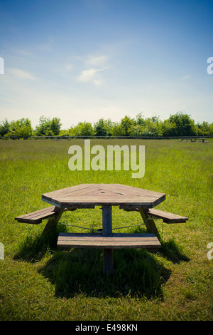 Eine einzelne leere Picknick-Tisch in der Mitte ein Rasen bedeckt Feld, ein strahlend blauer Himmel Sommertag Stockfoto