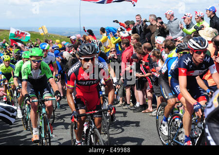 Holme Moss, Yorkshire, Großbritannien. 06. Juli 2014.Tour Fahrer konfrontiert entlang schleppen bis zum Gipfel, der 1.709 ft (521 m) hoch ist. Blel Kradri holte sich die Punkte für Team AG2R. Bildnachweis: Ian Francis/Alamy Live-Nachrichten Stockfoto