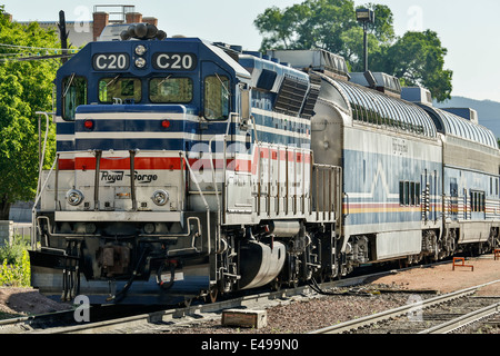 Motor Nr. C20 und andere Schienenfahrzeuge, Royal Gorge Route Railroad, Canon City, Colorado USA Stockfoto