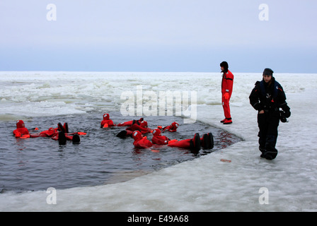 Schwimmen in den eisigen Gewässern des Bottnischen Meerbusen in der Nähe von Kemi in Finnland nach der Reise auf dem Schiff Eisbrecher Sampo Stockfoto