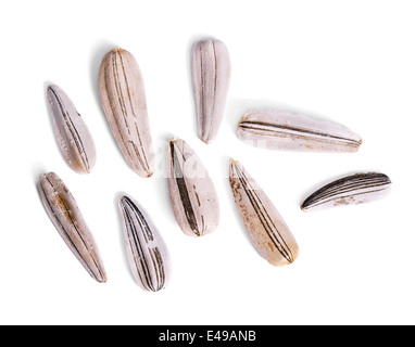 Sonnenblumenkerne Makro auf einem weißen Hintergrund isoliert Stockfoto