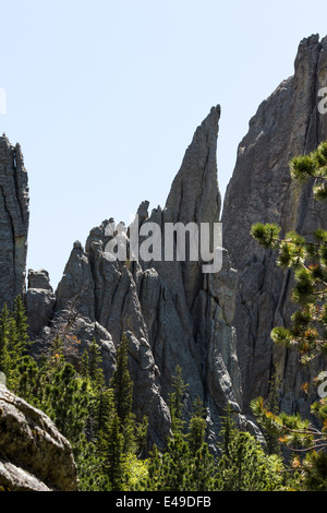 große Granit-Formationen im Custer State Park, South Dakota, auf der Nadel und dem Dom Türme trail Stockfoto