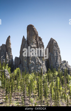 große Granit-Formationen im Custer State Park, South Dakota, auf der Nadel und dem Dom Türme trail Stockfoto