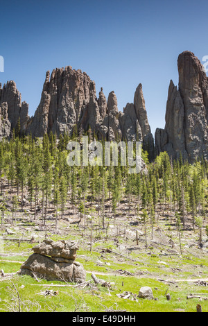 große Granit-Formationen im Custer State Park, South Dakota, auf der Nadel und dem Dom Türme trail Stockfoto