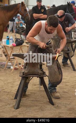 Calgary, Alberta, Kanada. Juli 2014. Der aufreißende Pferdeschuh mit Rundungshammer ist am Sonntag, den 6. Juli 2014 in der Endrunde des Wettbewerbs der Blacksmiths der Weltmeisterschaften in der Calgary Stampede im Wettbewerb. In dieser langjährigen Tradition an der Stampede kämpfen die besten fünf Farrierer um den Weltmeistertitel. Calgary, Alberta, Kanada. Credit: Rosanne Tackaberry/Alamy Live News Stockfoto