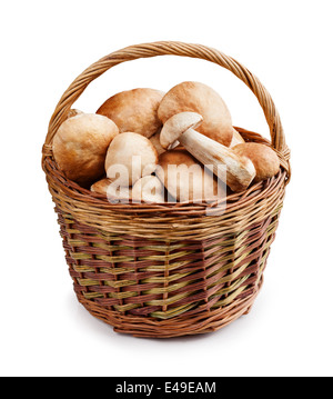 Die rohen Boletus Edulis in einem Korb Stockfoto