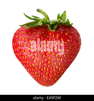 Erdbeeren Beere isolierten auf weißen Hintergrund Stockfoto