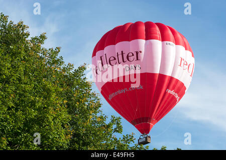 Heißluftballon steigen hinter einem Baum Stockfoto