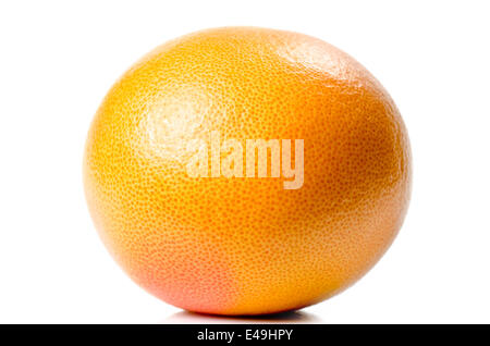 Grapefruit Stockfoto