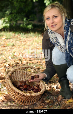 Junge, blonde Frau Kastanien sammeln Stockfoto