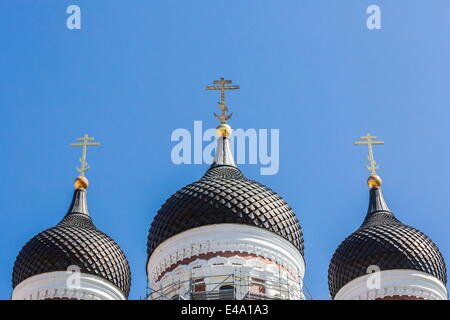 Orthodoxe Kirche Kuppel-Türme in der Hauptstadt Stadt von Tallinn, Estland, Europa Stockfoto