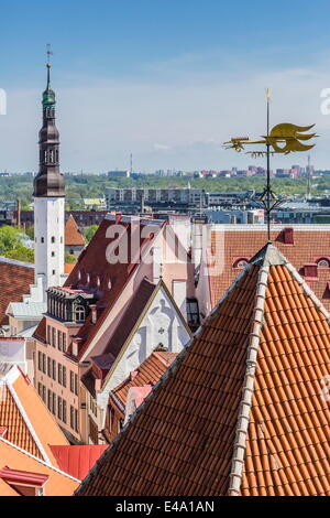 Luftbild von der ummauerten Teil der Altstadt, UNESCO-Weltkulturerbe in der Hauptstadt Stadt von Tallinn, Estland, Europa Stockfoto