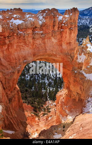 Rot gefärbte Kalkstein Bogen beleuchtet von Morgensonne mit Schnee im Winter an der Natural Bridge, Bryce-Canyon-Nationalpark, Utah, USA Stockfoto