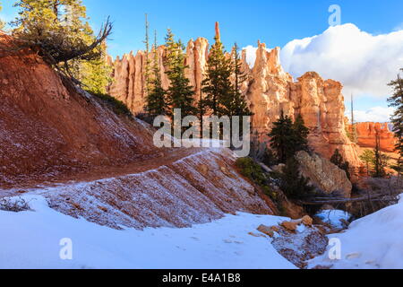 Icy Peekaboo Loop Trail mit Hoodoos, Bäume und Schnee in den frühen Morgenstunden, Bryce-Canyon-Nationalpark, Utah, USA Stockfoto