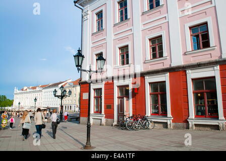 Rathaus, Raekoja Square (Raekoja Plats), Tartu, Estland, Baltikum, Europa Stockfoto