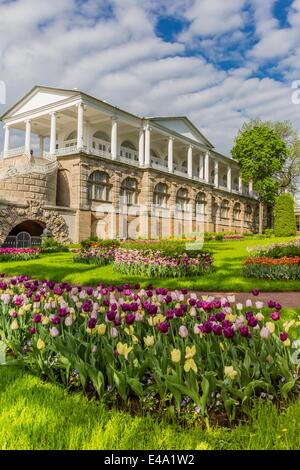 Blick auf die Cameron-Galerie im Katharinenpalast, Zarskoje Selo, St. Petersburg, Russland, Europa Stockfoto