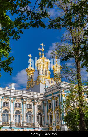 Außenansicht der Katharinenpalast, Tsarskoe Selo, St. Petersburg, Russland, Europa Stockfoto