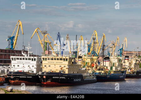 Die geschäftigen Werften im Meer-Hafen von St. Petersburg, auf der Newa Fluss, Russland, Europa Stockfoto