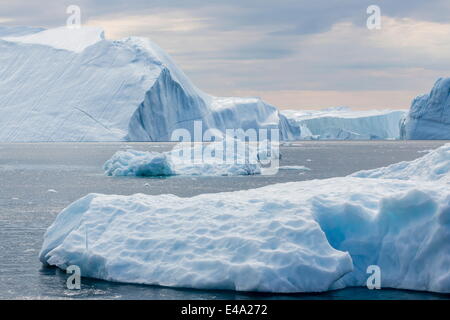 Riesige Eisberge gekalbt von Ilulissat Gletscher, UNESCO-Weltkulturerbe, Ilulissat, Grönland, Polarregionen Stockfoto