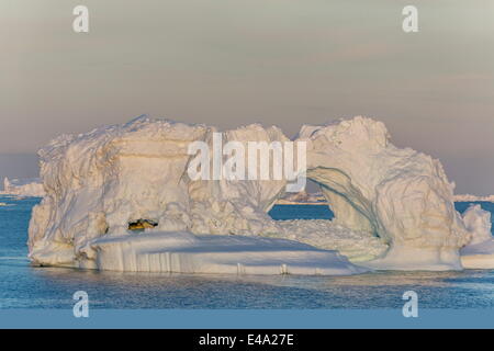 Riesige Eisberge gekalbt von Ilulissat Gletscher, UNESCO-Weltkulturerbe, Ilulissat, Grönland, Polarregionen Stockfoto