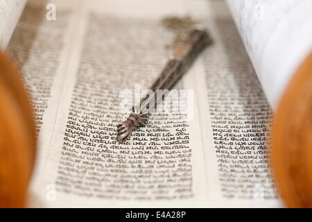 Tora-Rolle und Yad, Tora-Zeiger, Paris, Frankreich, Europa Stockfoto