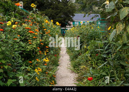 Garten, Blumen; Giverny; Normandie; Frankreich; Eure; Europa