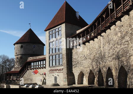 Mittelalterliche Leanderturm (Neitsitorn), heute ein Museum und Café, in dem Domberg, die Oberstadt, Tallinn, Estland, Europa Stockfoto