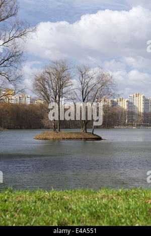 am Ufer eines wunderschönen Sees mit Bäumen Stockfoto