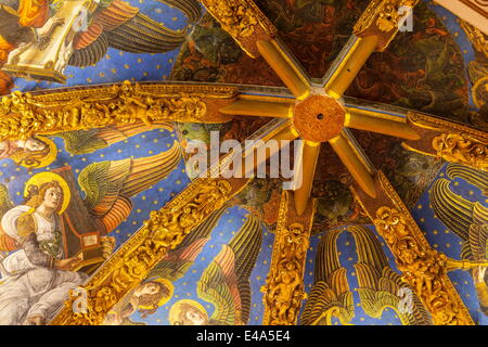 Decke in der Metropolitan Kathedrale-Basilika Mariä Himmelfahrt unserer lieben Frau von Valencia, Valencia, Spanien Stockfoto