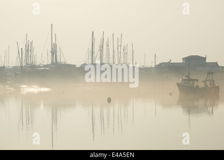 Felixstowe Fähre am Fluss Deben, Suffolk, UK. Stockfoto