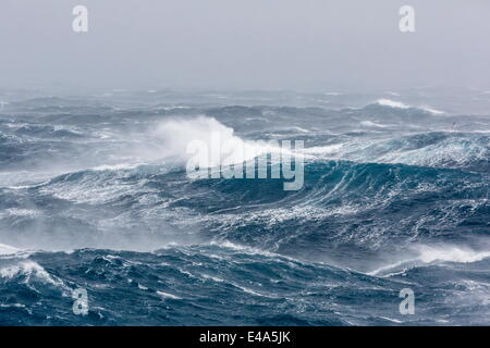 Gale Force Westwinde bauen große Wellen in den Polarregionen der Drake-Passage, Antarktis, Stockfoto