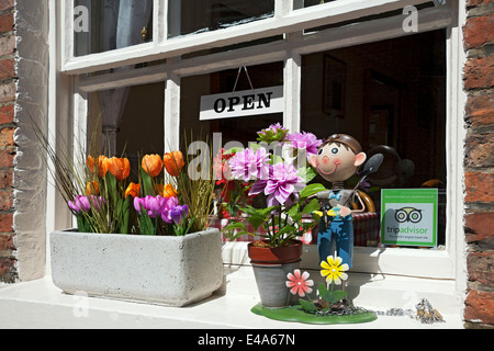 Cafe Restaurant öffnen Zeichen im Geschäft mit Blumen auf einem Fensterkasten Schwill York North Yorkshire England UK Vereinigtes Königreich GB Großbritannien Stockfoto
