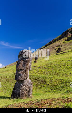 Moai Skulpturen in verschiedenen Stadien der Fertigstellung am Rano Raraku, Nationalpark Rapa Nui, UNESCO, Osterinsel, Chile Stockfoto