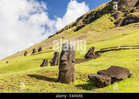 Moai Skulpturen in verschiedenen Stadien der Fertigstellung am Rano Raraku, Nationalpark Rapa Nui, UNESCO, Osterinsel, Chile Stockfoto