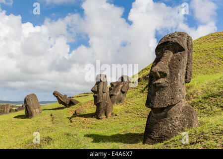 Moai Skulpturen in verschiedenen Stadien der Fertigstellung am Rano Raraku, Nationalpark Rapa Nui, UNESCO, Osterinsel, Chile Stockfoto