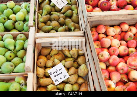 Äpfel und Birnen auf dem Abwürgen, Wochenmarkt, Marktplatz, Esslingen, Baden-Württemberg, Deutschland, Europa Stockfoto