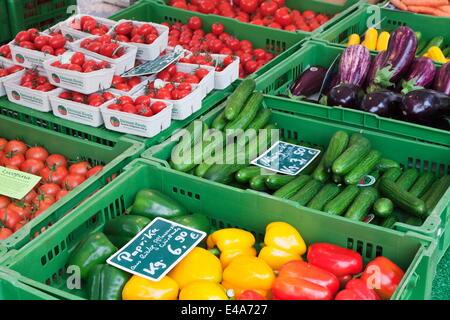 Tomaten, Paprika, Gurke und Aubergine auf dem Abwürgen, Wochenmarkt, Marktplatz, Esslingen, Baden-Württemberg, Deutschland Stockfoto