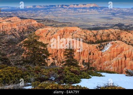 Hoodoos, Vegetation und Schnee mit Blick auf einen Winter der späten Nachmittag, Bryce Point, Bryce-Canyon-Nationalpark, Utah, USA Stockfoto