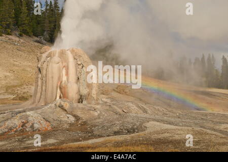 Lone Star Geysir bricht aus und schafft Regenbogen, UNESCO, Yellowstone-Nationalpark, Wyoming, USA Stockfoto